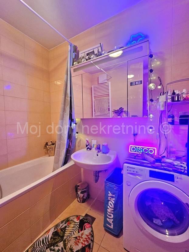 FOTO Prodaje se 'egzotični' stan u Zagrebu. Flamingosi, palme i disco u 36m2! Cijena mu je hit...