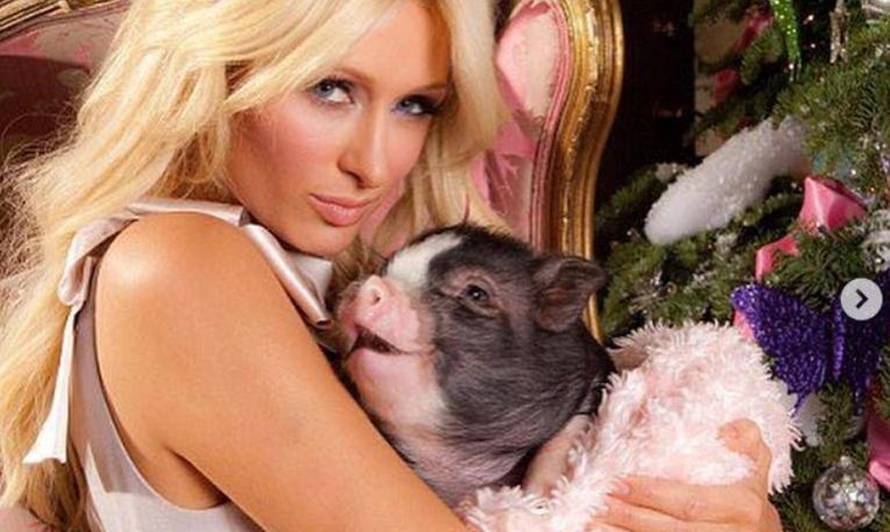 Paris posve gola pokazala kako zaručniku jedva čeka reći 'da'