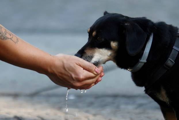 Heatwave hits Germany