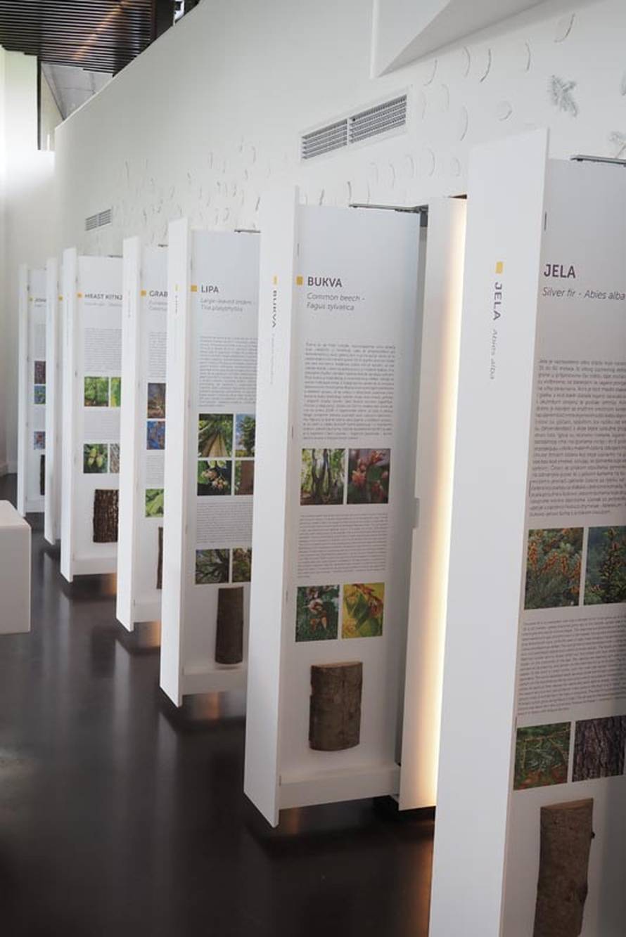 Jeste li čuli za Plemićku rutu? Uvući će vas u jednu posebnu priču o  Slavoniji i Podravini...