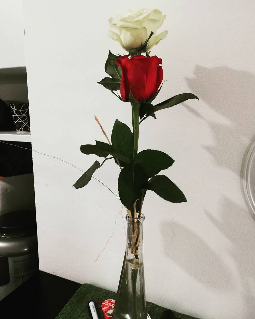 Sanela obrisala fotke s Ernom i Jasminom, svoj profil posvetila Edinu: Zajedno su se tetovirali?