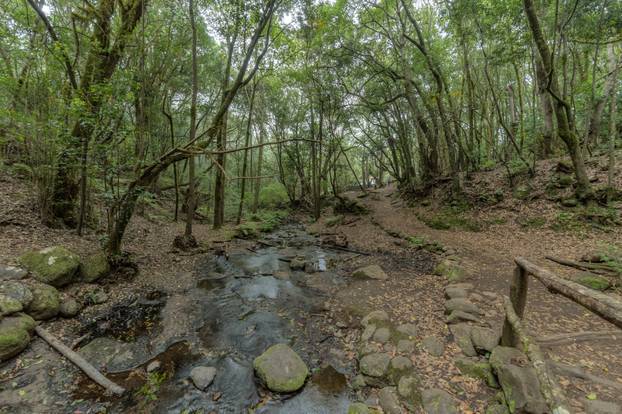 Najljepši nacionalni parkovi u Europi prema TripAdvisoru: Hrvatski biser je na vrhu liste!