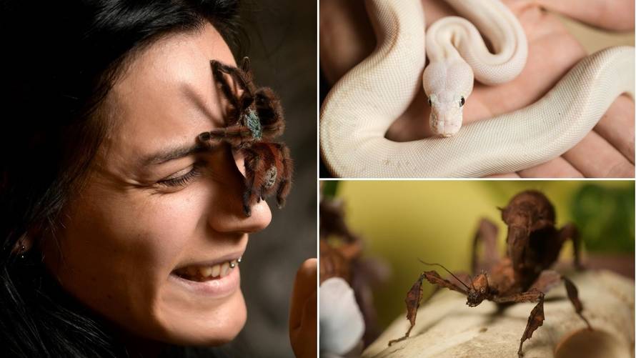 Iva (26): 'Jeftinije je uzdržavati zmije i tarantule nego mačke i pse, nemam straha od njih...'