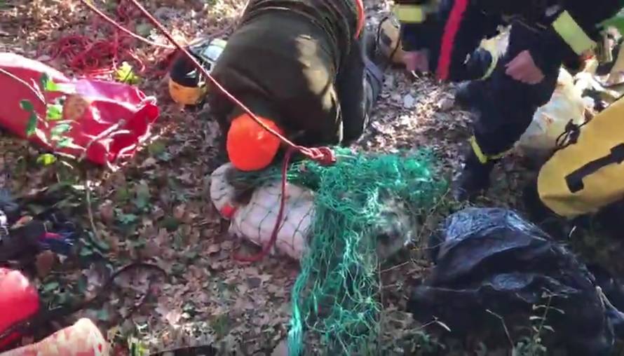 Došli se pozdraviti s psom koji je pao u jamu i čuli lavež s dna