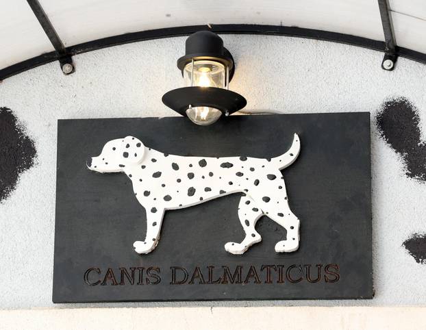 Šibenik:Otvoren muzej dalmatinskom psu,dalmatincu 