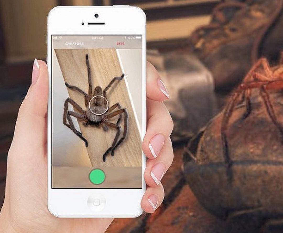 Critterpedia: Aplikacija koja prepoznaje pauke i gmazove