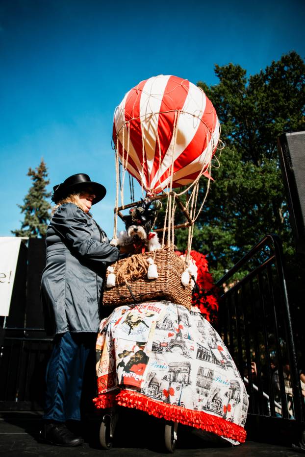 Tompkins Square Halloween Dog Parade in New York