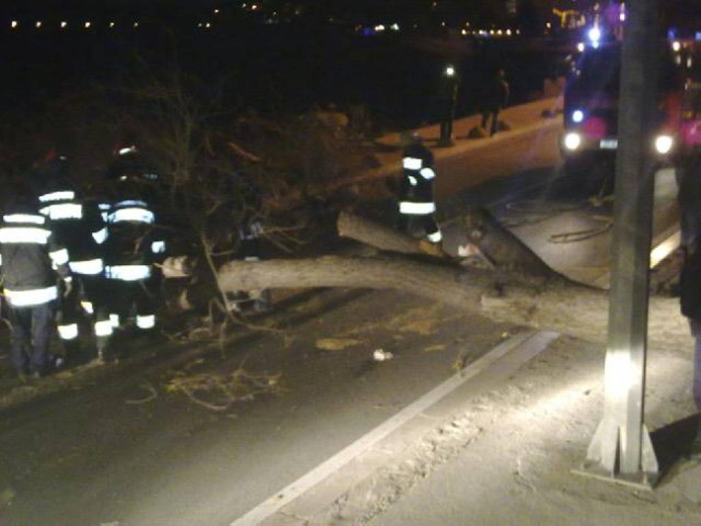 Olujni je vjetar rušio stabla i potapao barke u Dubrovniku