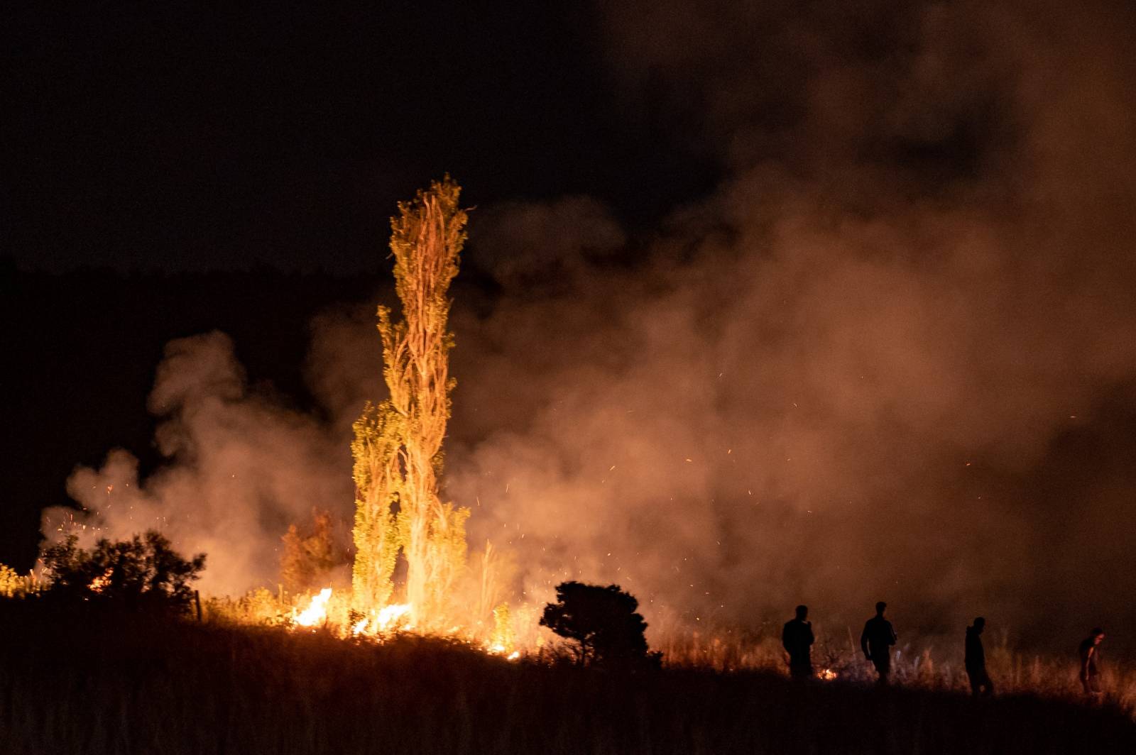 VIDEO Ovo je požar kod Zadra iz aviona, vatrogasci su se borili cijelu noć: 'Obranili smo kuće'