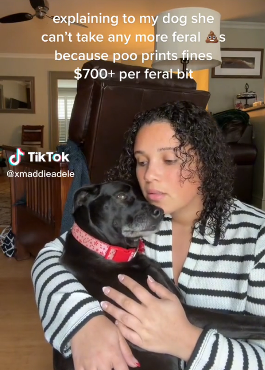 Pretjeruju? Sustanari iz zgrade ženu tražili DNK psa da ju kazne ako ne skuplja izmet za njim