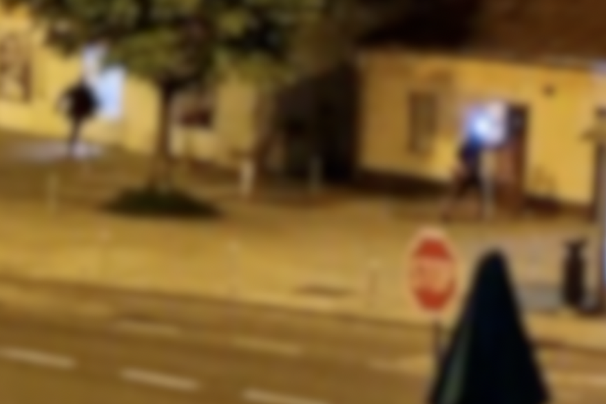 Plja&ccaron;ka du&cacute;ana