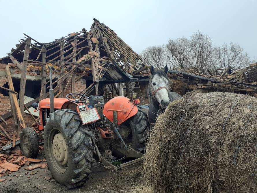 O konjima, kravama i Majskim Poljanama: Kako je gazda Tomislav spasio svog Zekana