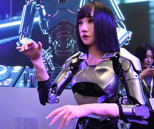 CHINA BEIJING WRC 2025 ROBOTS APPLICATION (CN)