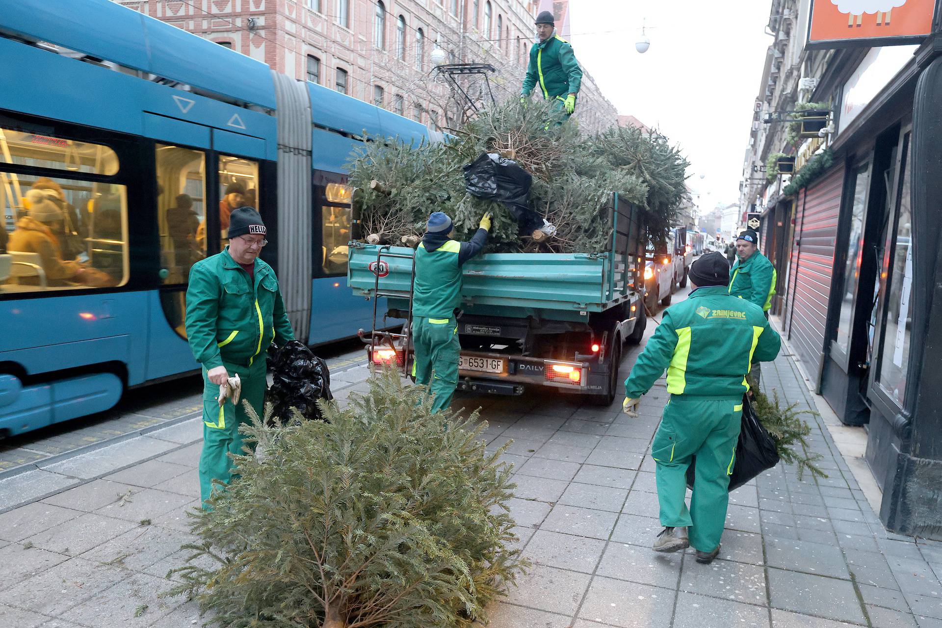 Zagreb: Počeo odvoz odbačenih borova