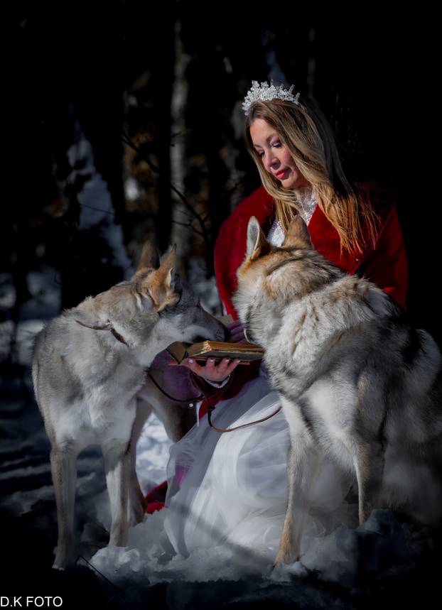 GALERIJA Nastali su od vukova, rođaci su Nazgula s Olimpijskih igara i žive kraj Velike Gorice!