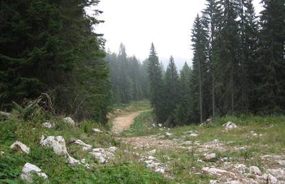 Jahorina: Danski diplomati s motorima pali u provaliju