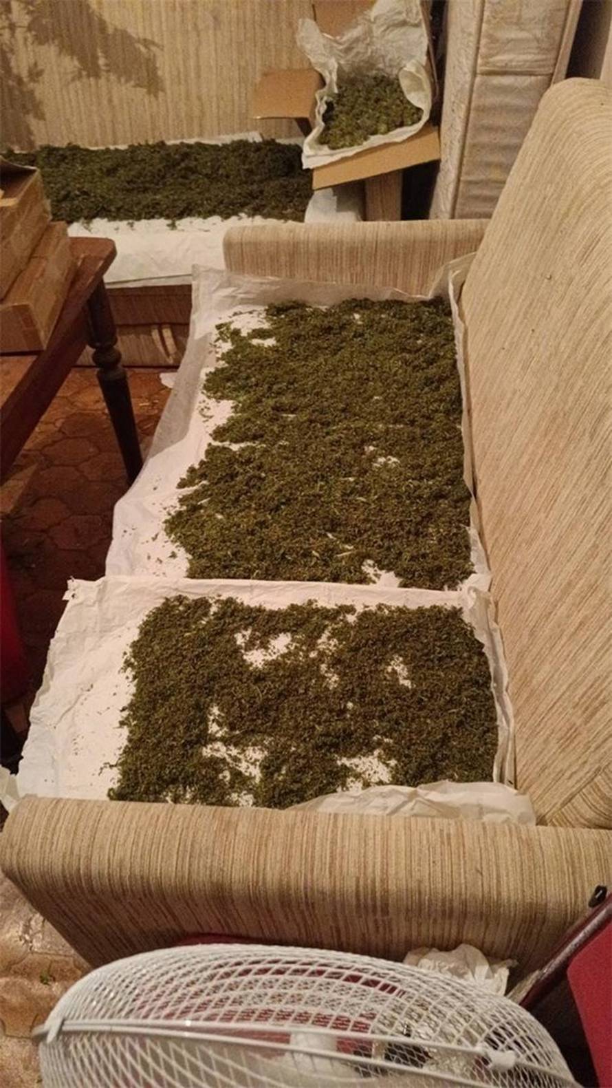 Kod Opatije policija upala u kuće: Našli 140 stabljika trave, 7 kila trave i brdo opreme...