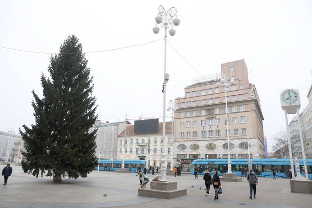 Zagreb: Na glavnom gradskom Trgu postavljen bor