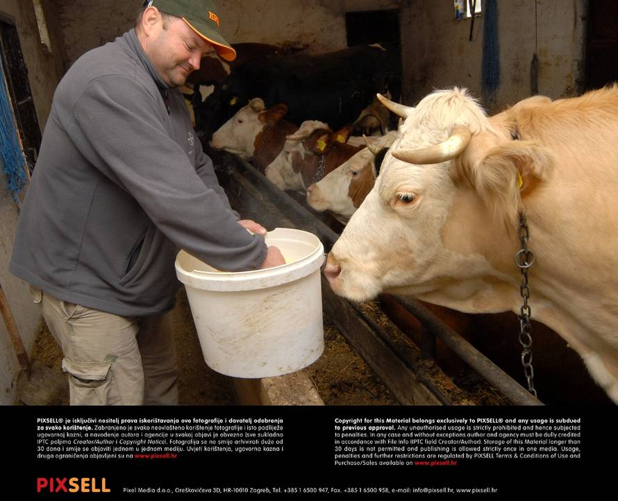 Ivica Galović/Pixsell