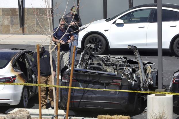 Musk Tesla Vandalism