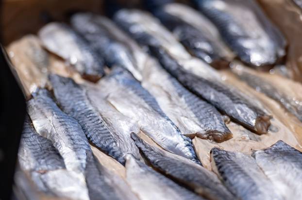 Zadar:  Šesto izdanje Tuna, Sushi & Wine Festivala