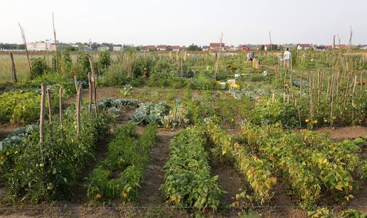 Uređenje Urbanog vrta u Mandlovoj ulici uskoro...