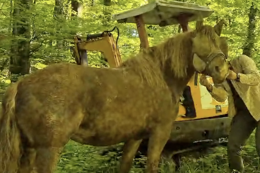 Spa&scaron;avanje kobile