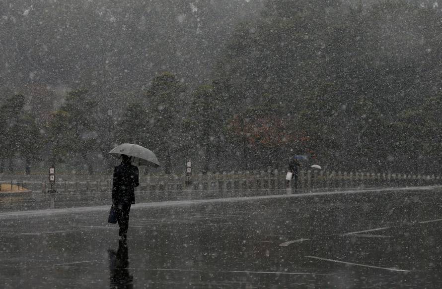 A man walks during the first November snowfall in 54 years in Tokyo, at the Imperial Palace in Tokyo