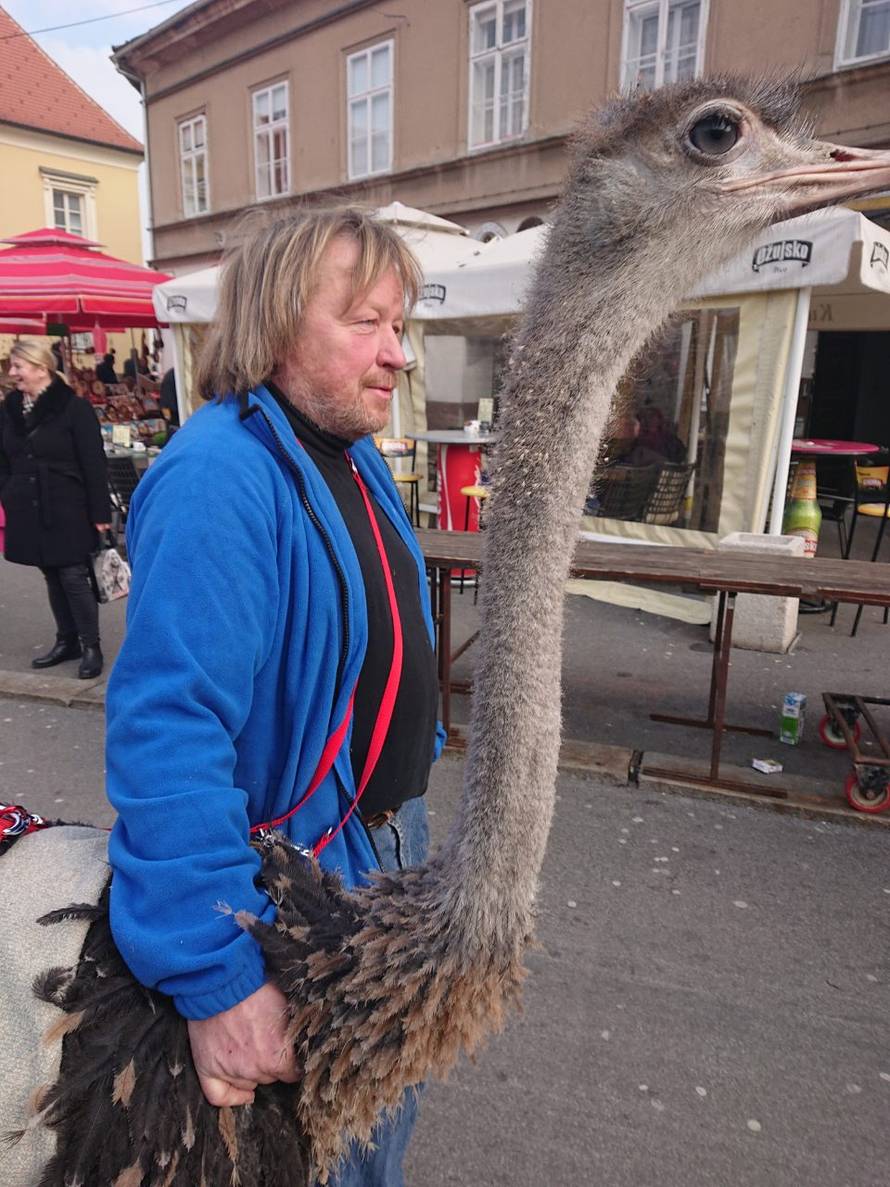 Još samo jedan običan petak u Zagrebu: Šetao noja po gradu...