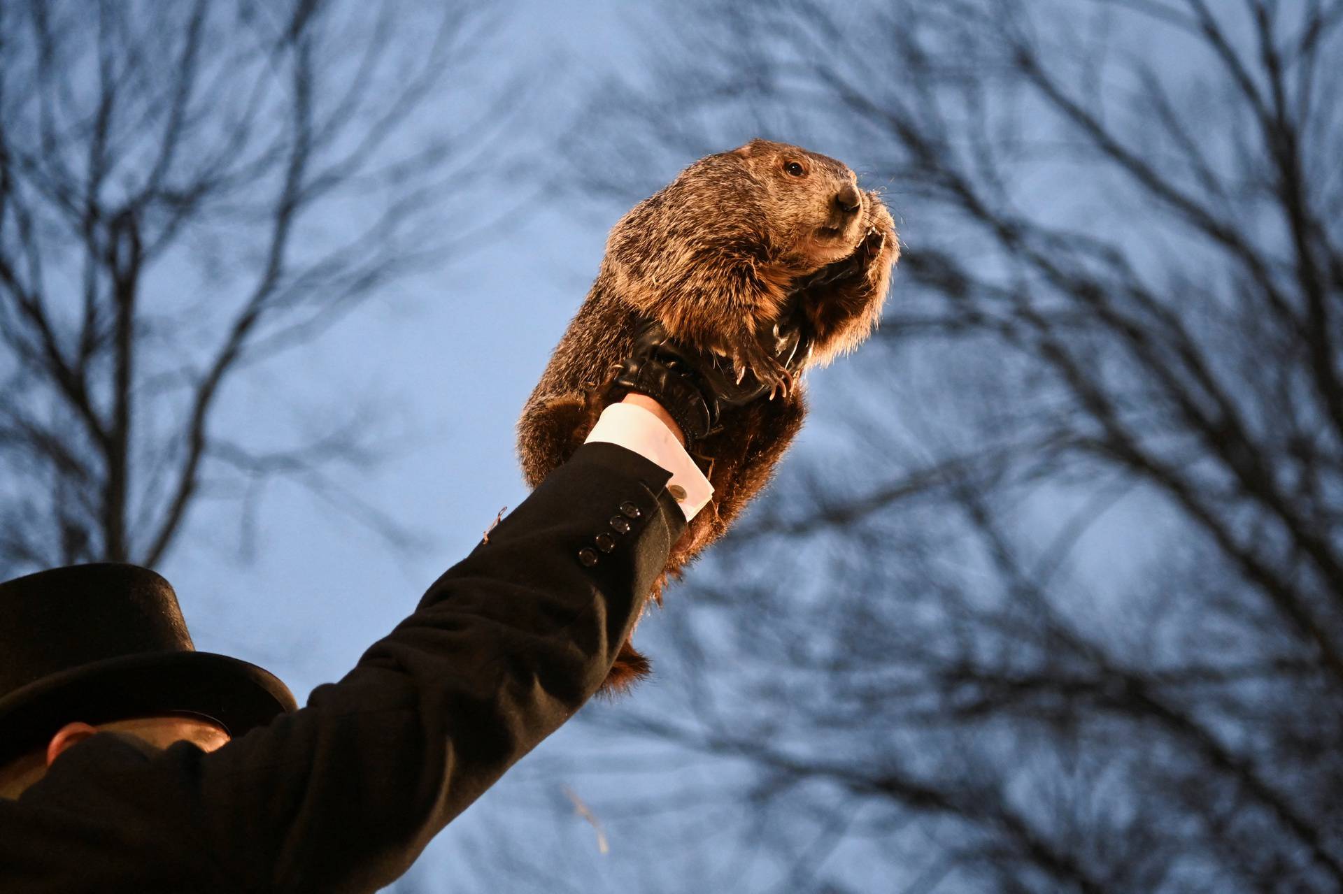 Groundhog Day festivities at Gobbler's Knob in Punxsutawney