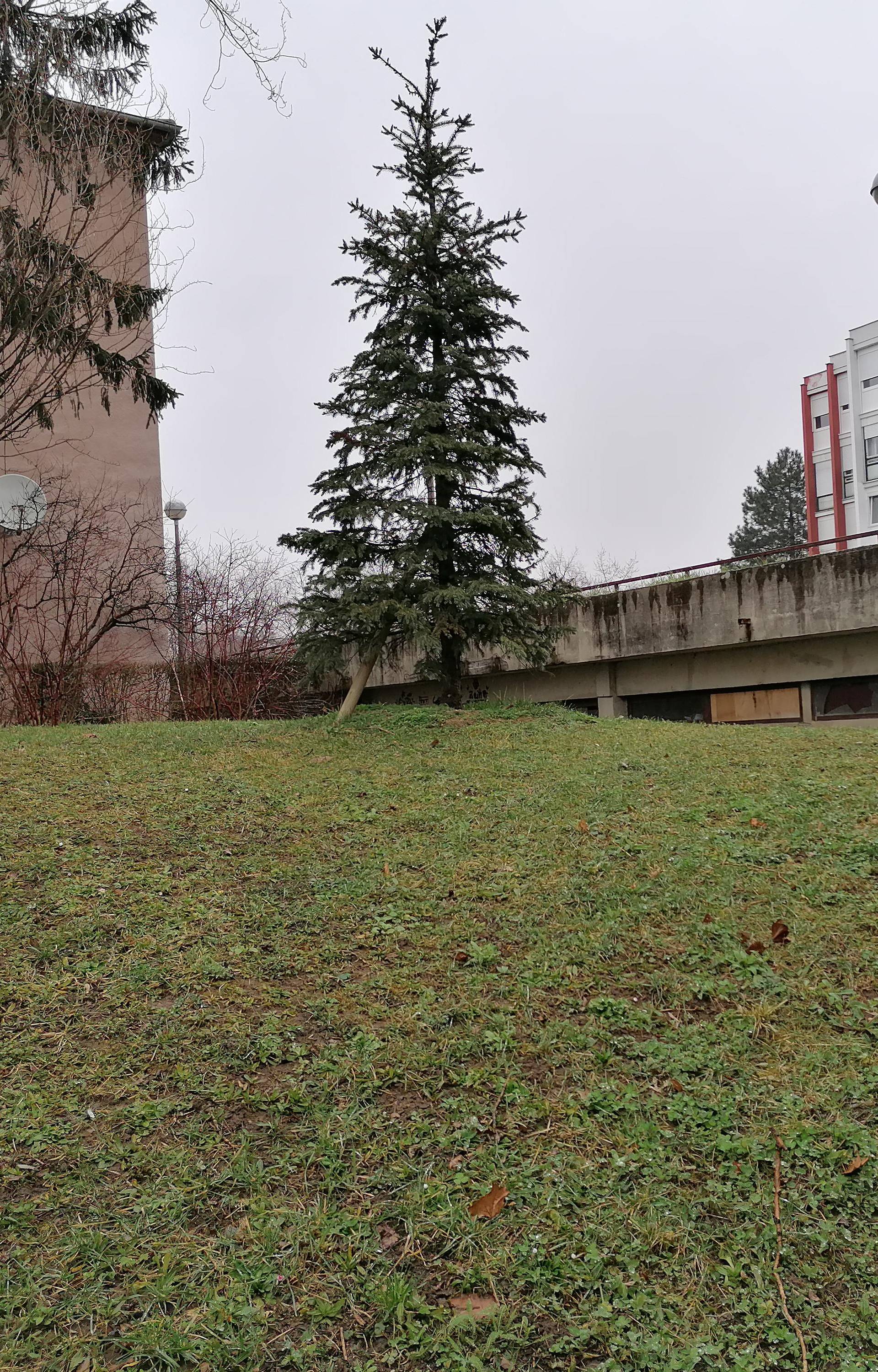 Dogovaraju tučnjave u garaži, cijela škola tu dolazi navijati...