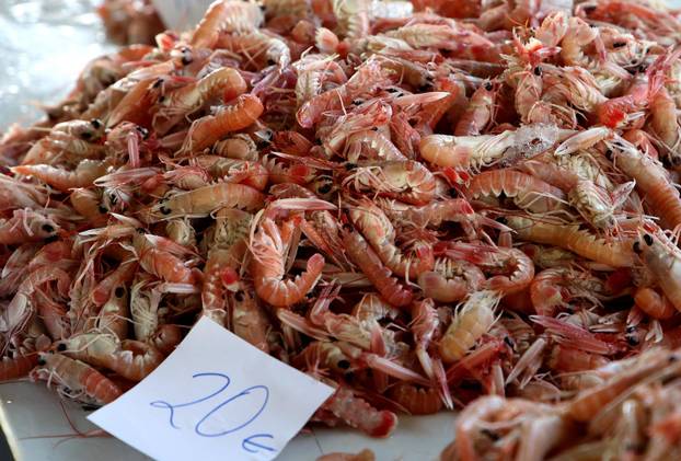 Šibenik: Ponuda ribe na korizmeni petak