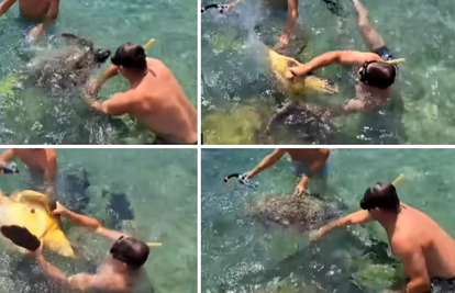 Policija traga za kupačima koji su kod Čiova mučili kornjaču