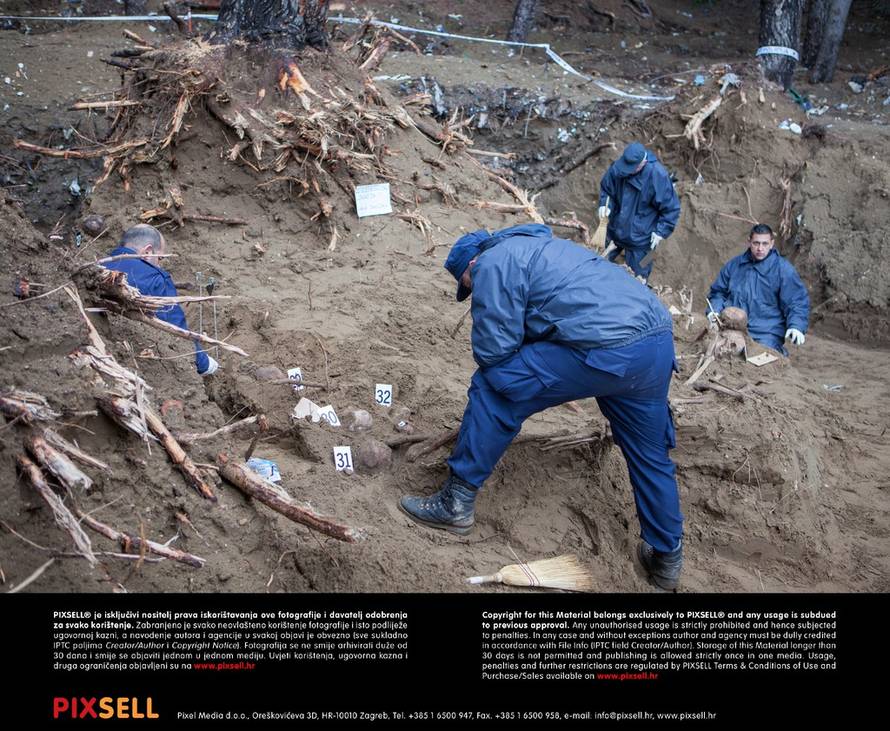 Grgo Jelavić/PIXSELL