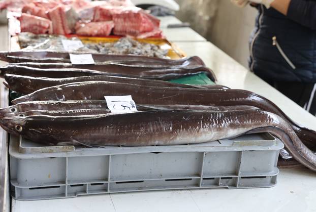 Šibenik: Ponuda na šibenskoj ribarnici