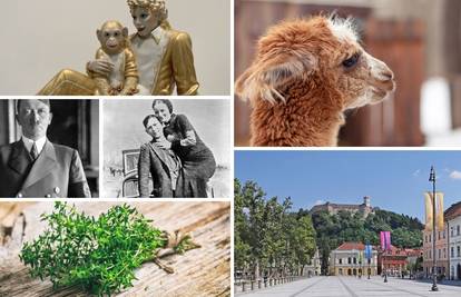 Da vas vidimo znalci! Stigao je novi kviz, koliko točnih odgovora ćete moći skupiti?