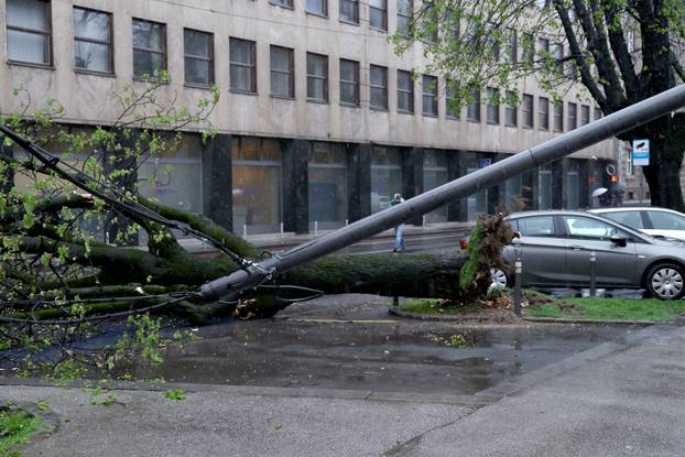 Zagreb:  Nevrijeme i jak vjetar srušili su nekoliko stabala u centru grada