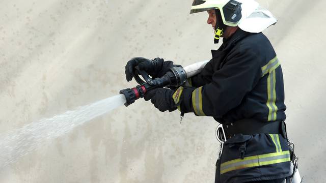 'Pametnjaković' zapalio napu pa pitao vatrogasce za račun