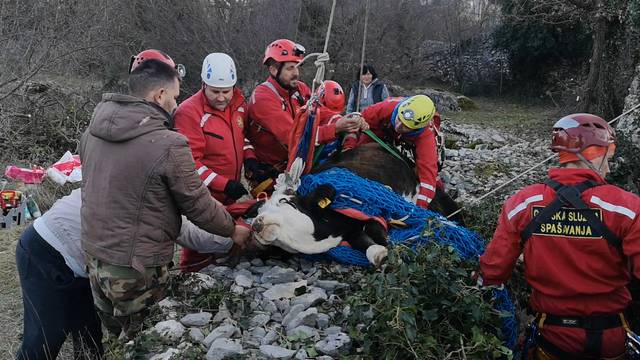 HGSS spasio junicu iz bunara u Lećevici: Nije to bila mala stvar!