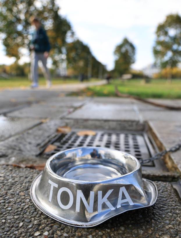 Zagreb: Diljem Zagreba osvanule posudice za pse