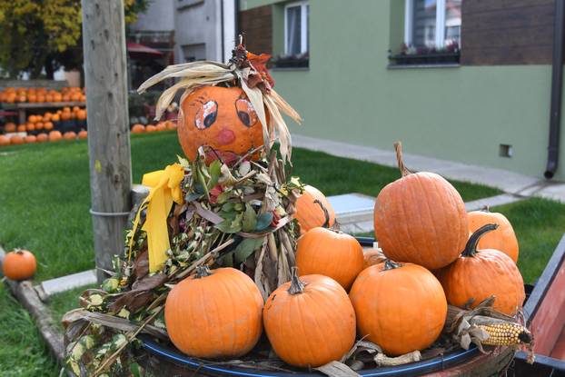 Čukovec: Selo jagoda pretvoreno je u selo bundeva