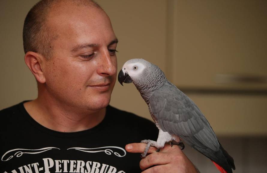 'Ja sam Hugo iz Splita, znam pričati i prati me cijeli svijet'