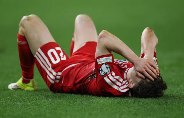 FIFA World Cup - UEFA Qualifiers - Semi Final - Wales v Bosnia and Herzegovina