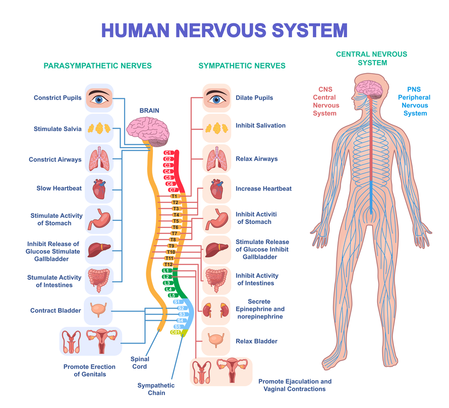 Jeste li znali da zdravlje počinje tamo gdje su emocije izražene?