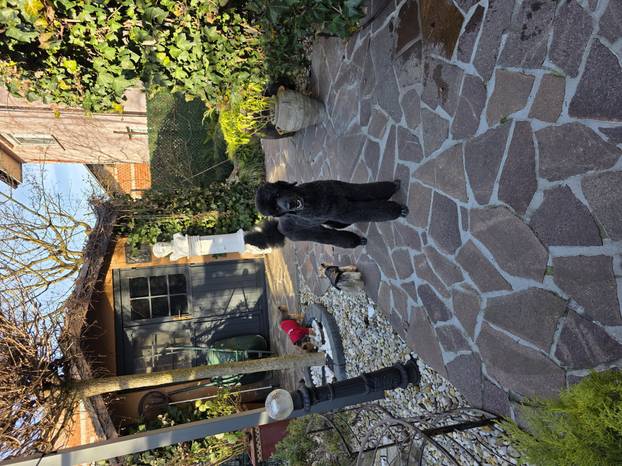 SUPER FOTKE vaših ljubimaca! Neki bi mogli biti viralni hit, ali svi su jednostavno neodoljivi