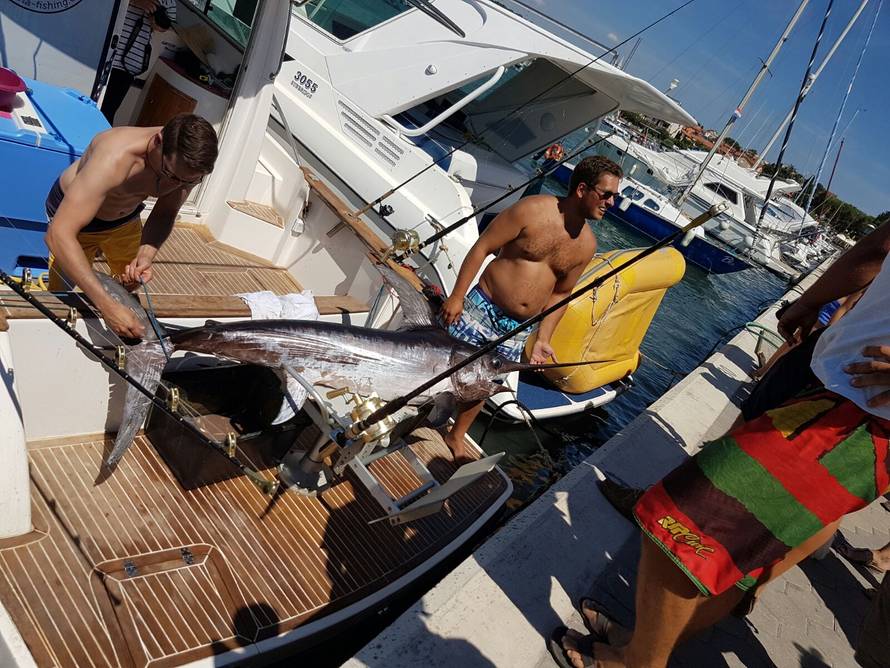 Trojica na jednu ribu: Morali su se čuvati da ih ne nabode...