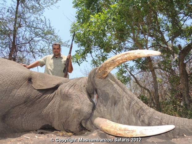 Mashambanzousafaris.com