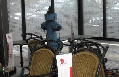 Vatrogasci: Pardon, ali mi bi trebali hidrant iz kafića