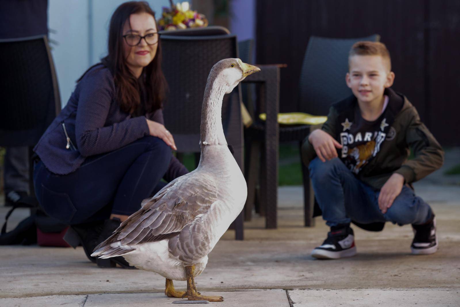 'Gugi s nama igra nogomet, a s mamom i tatom popije i kavu!'