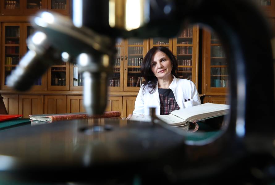 Veličanstvena zbirka: Opijum, španjolske mušice i afrodizijaci